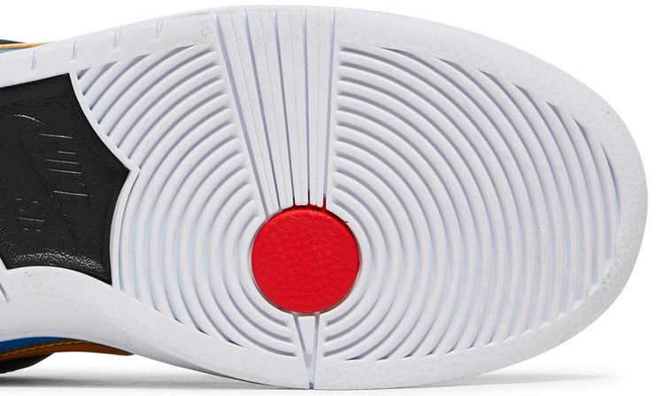 Polaroid x Nike Dunk Low SB