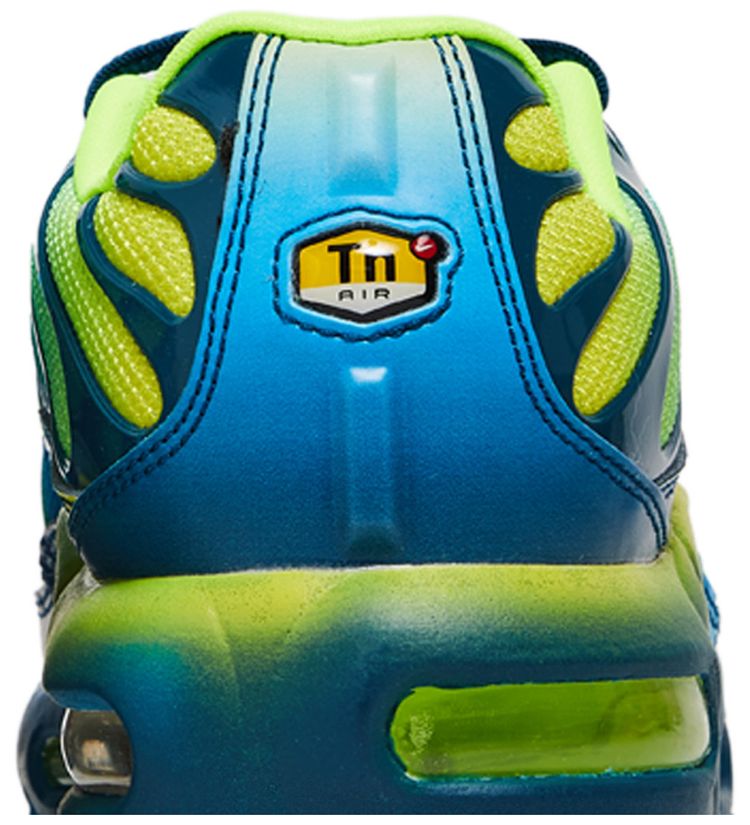 Nike Air Max Plus GS Blue Force