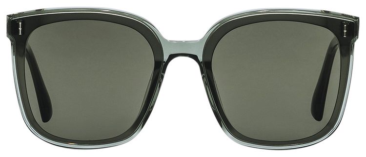 Gentle Monster Frida G3 Sunglasses Transparent GreenBlack