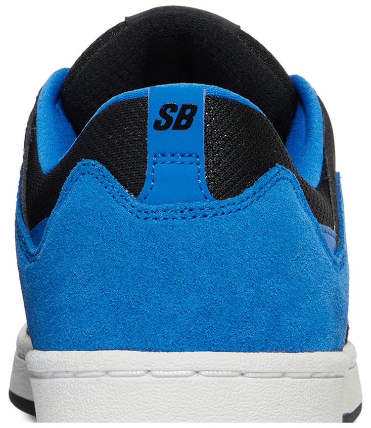 Nike Alleyoop SB Royal