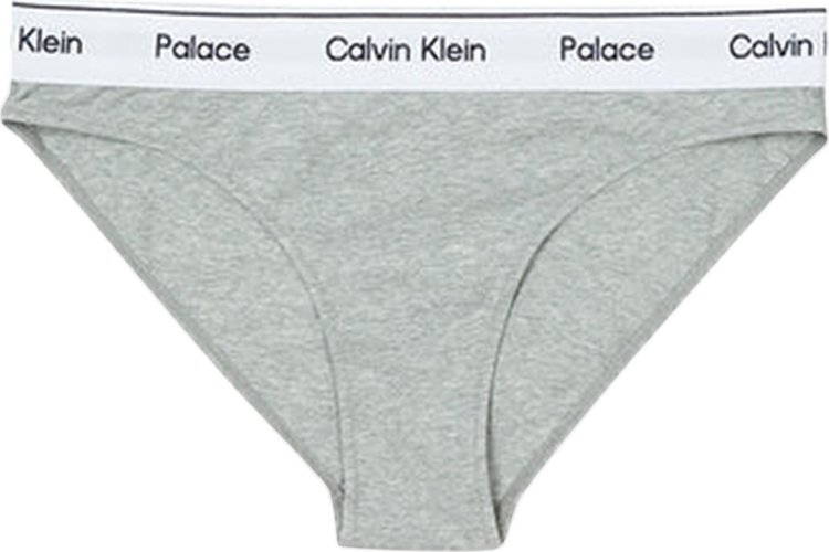 Calvin Klein Underwear Women Bikini Grey Panty - Buy Calvin Klein