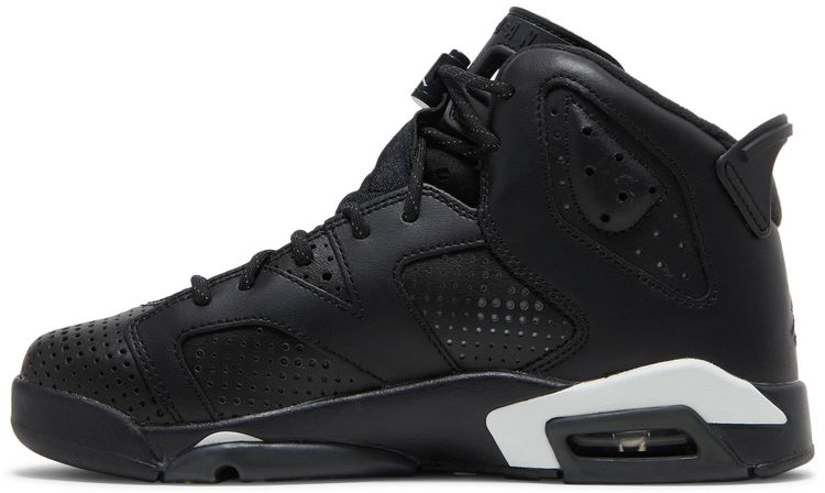 Air Jordan 6 Retro GS Black Cat