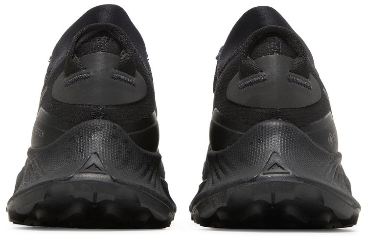 Nike Wmns Pegasus Trail 3 GTX Triple Black