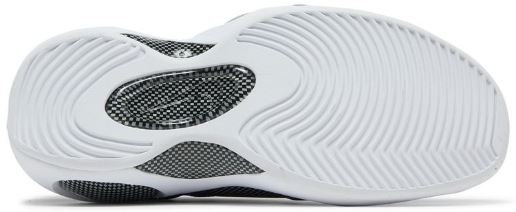 Nike Air Zoom Flight 95 OG Black Metallic 2022