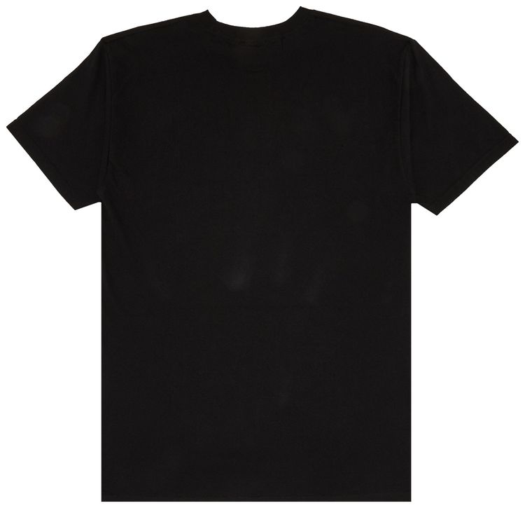 Stussy Brush Skull Tee Black