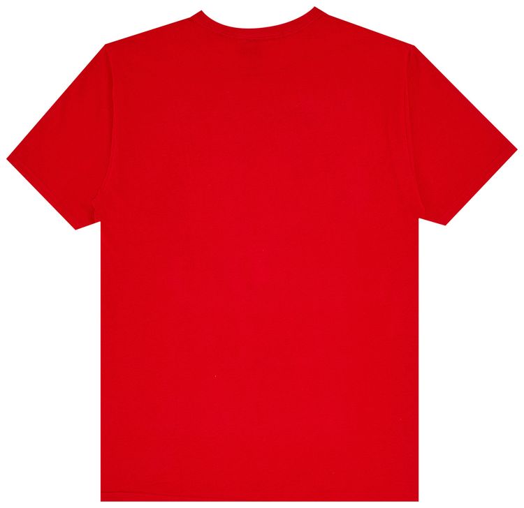 Stussy Brush Skull Tee Red