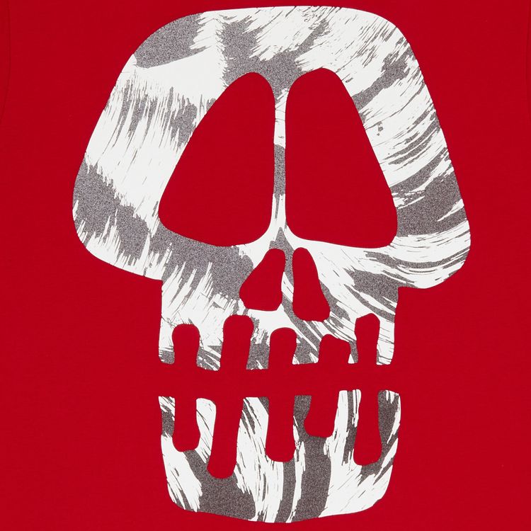 Stussy Brush Skull Tee Red