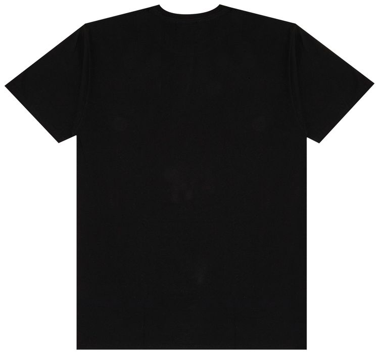 Stussy Big Knowledge Tee Black