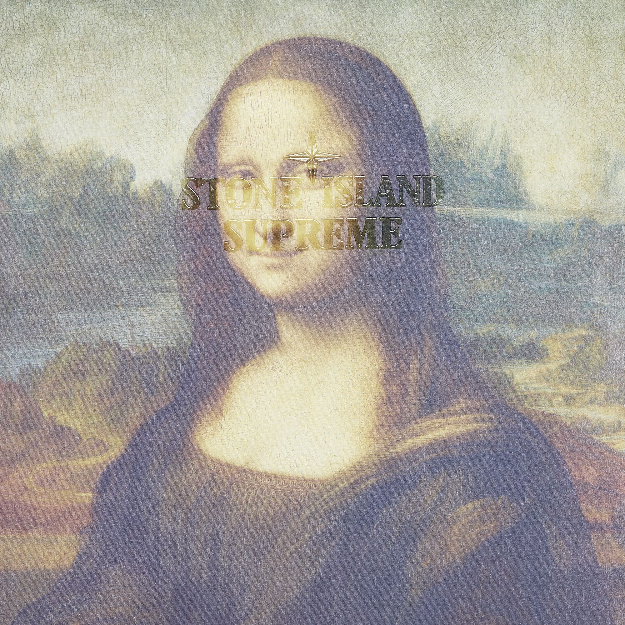 Supreme x mona lisa top