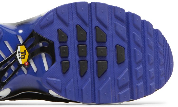 Nike Air Max Plus GS Persian Violet