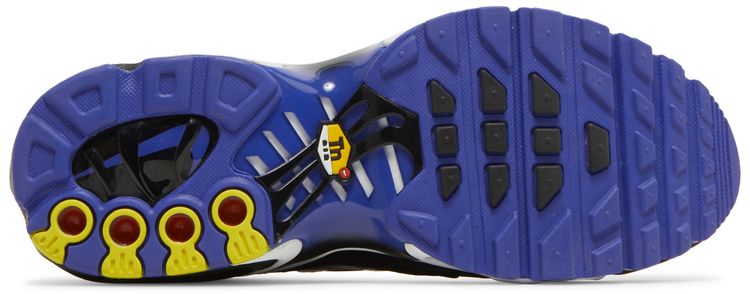 Nike Air Max Plus GS Persian Violet