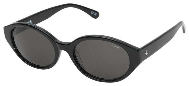 Stussy Penn Sunglasses Black