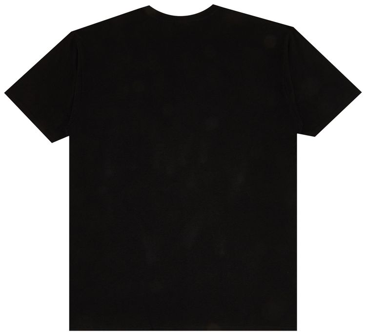 Stussy Stripe N4 Tee Black