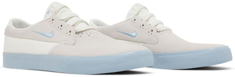 Nike Shane SB Sail Boarder Blue