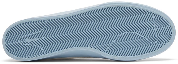 Nike Shane SB Sail Boarder Blue