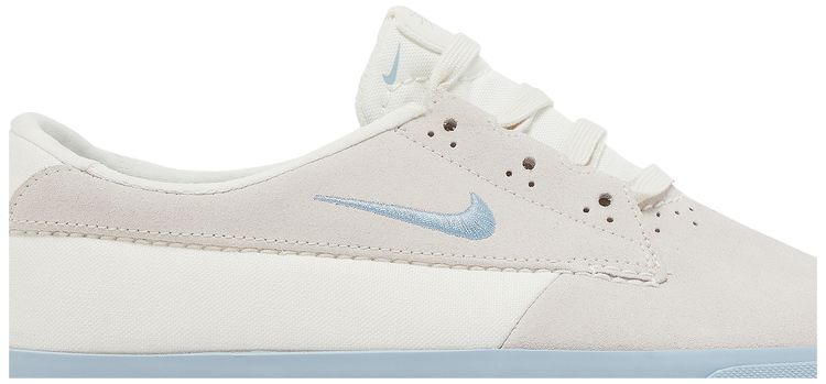 Nike Shane SB Sail Boarder Blue