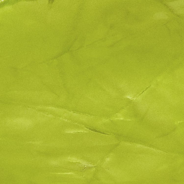 Bottega Veneta Mini Bag Chlorophyll