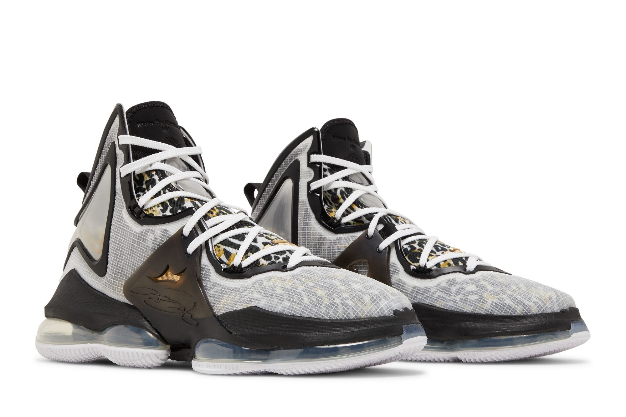 Buy LeBron 19 CZ0203 100 GOAT