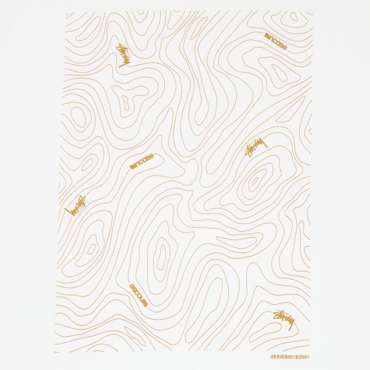 Stussy Incase Topo Tee White