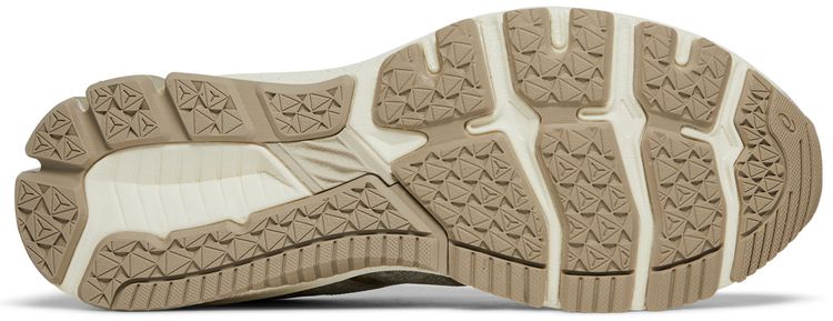 Asics GT 1000 10 Earth Day