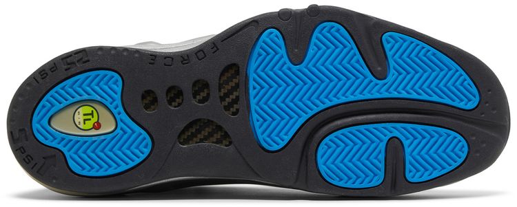 Nike Total Air Foamposite Max Metallic Silver 2011