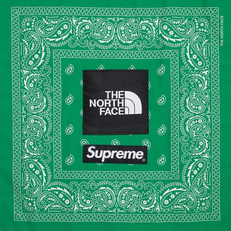 Supreme x The North Face Bandana Tee White