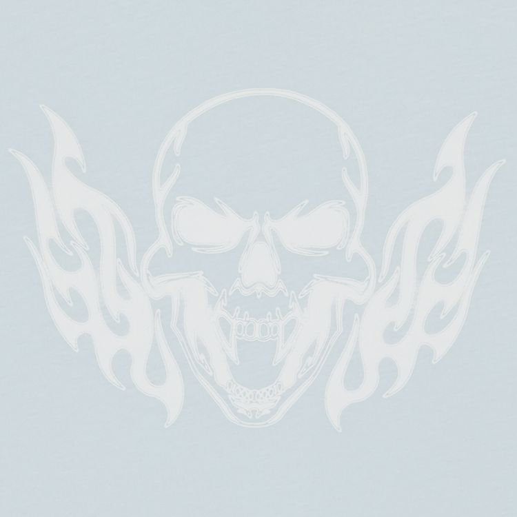 Heron Preston Short Sleeve Baby Tee Flaming Skull Baby Blue