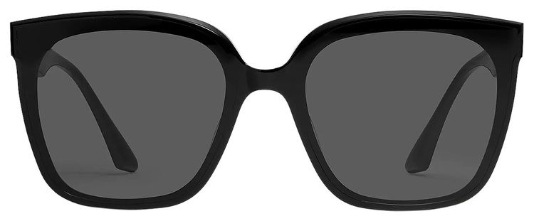 Gentle Monster Burty 01 Sunglasses Black