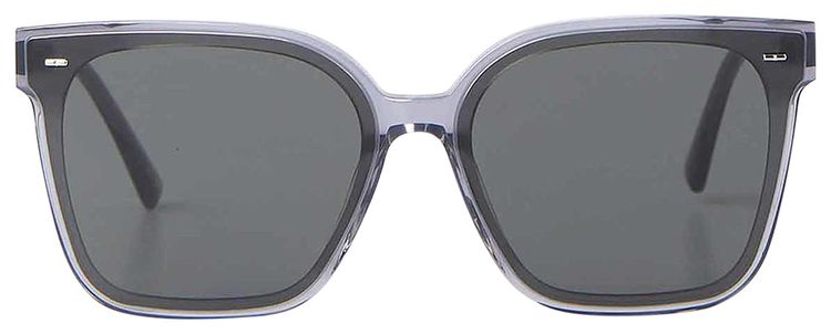 Gentle Monster Sal G1 Sunglasses Grey