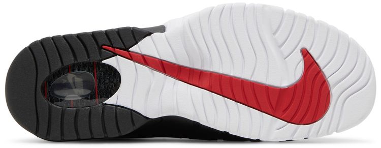 Nike Air Max Penny 1996 Olympics