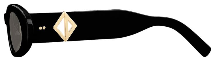 Dior x Cactus Jack CD Diamond R1I Sunglasses Black
