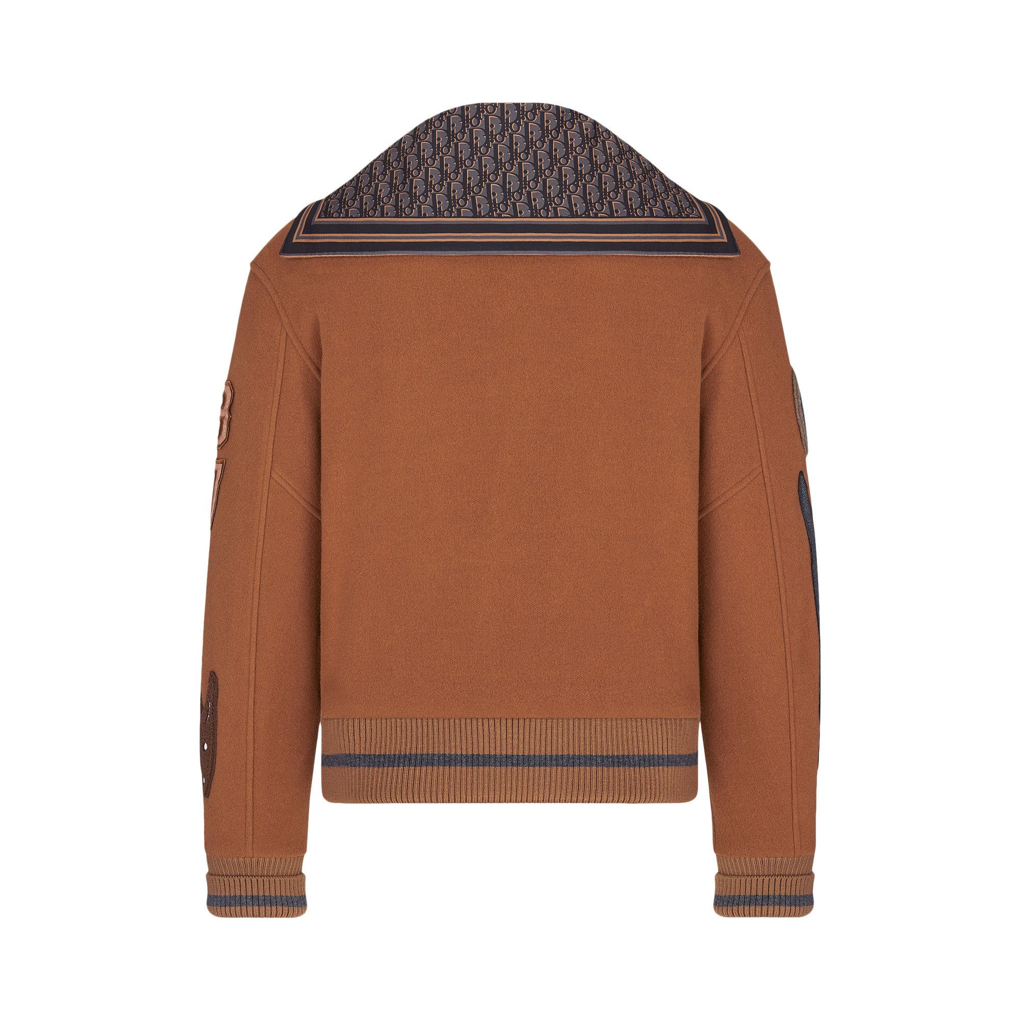 Buy Dior x Cactus Jack Baseball Blouson 'Coffee Brown