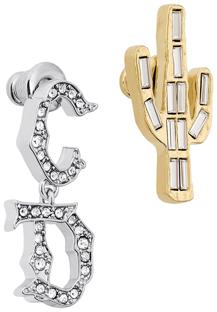 Dior x Cactus Jack Earrings SilverGold