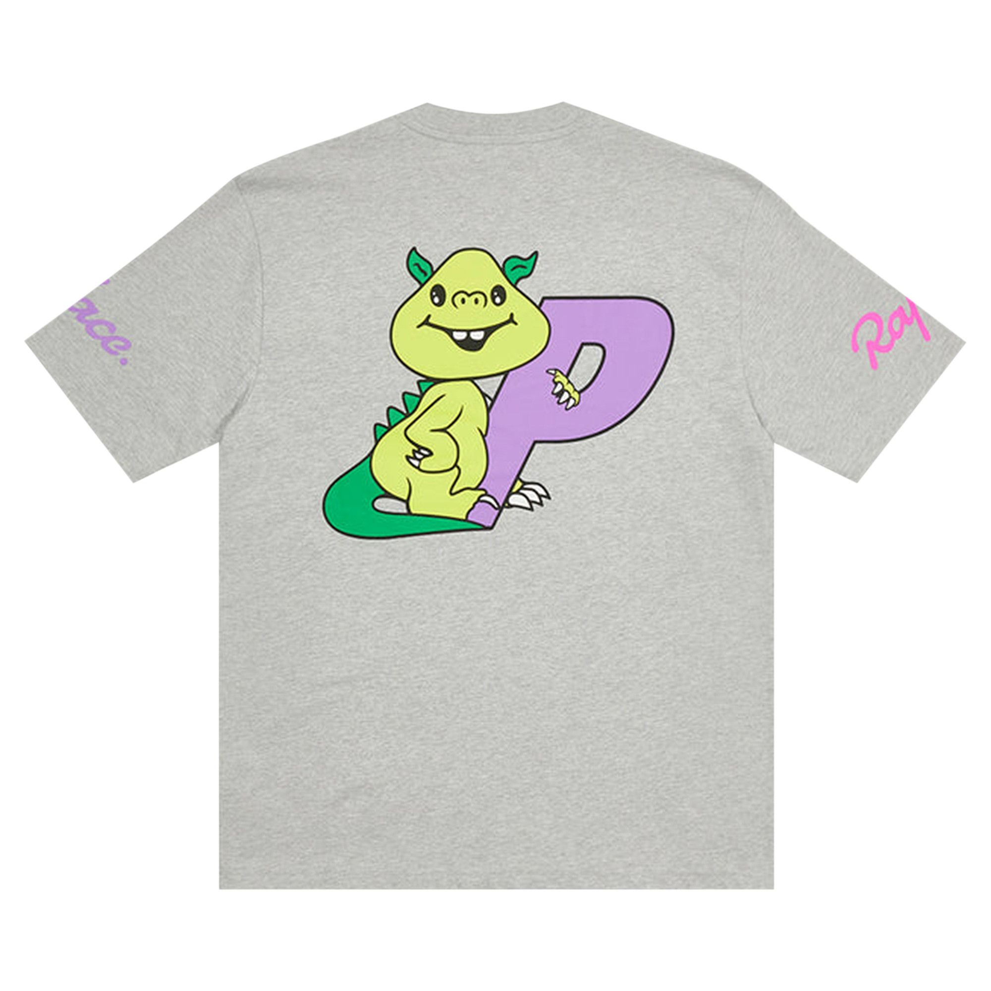 Buy Palace x Rapha EF Education First T Shirt Grey ADP02XXGRY GOAT NL