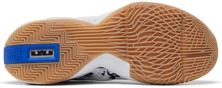 Nike LeBron Soldier 14 Sisterhood