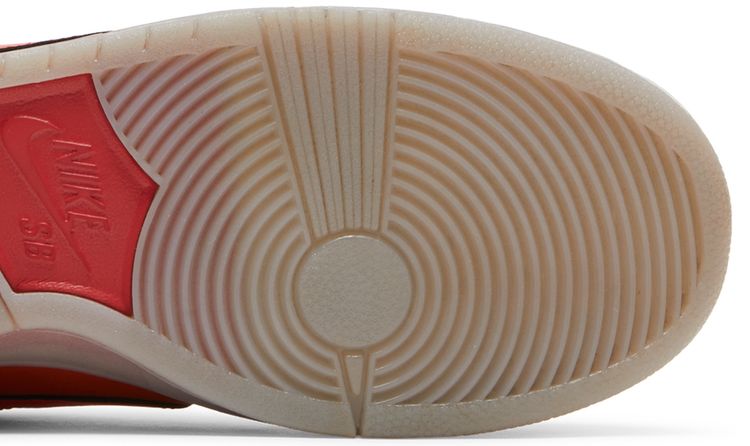 Nike Dunk Low Pro SB Fire  Ice