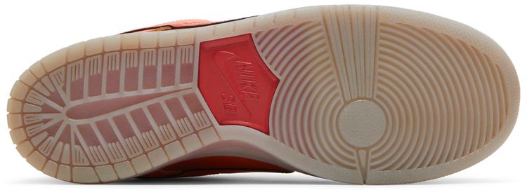 Nike Dunk Low Pro SB Fire  Ice