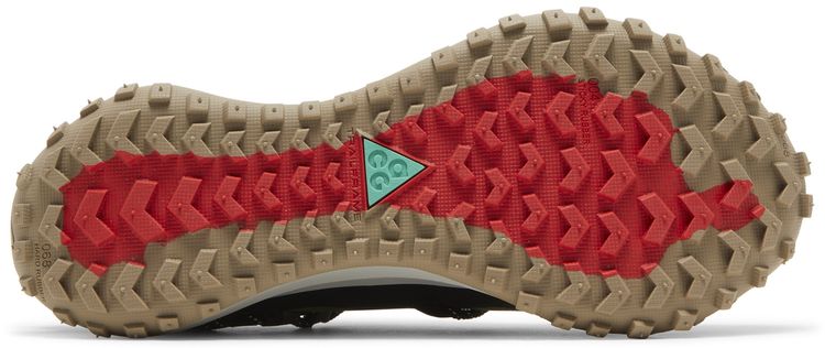 Nike ACG Mountain Fly Low SE Pilgrim