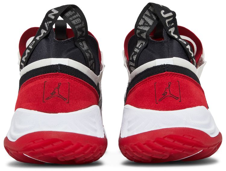 Air Jordan Delta Breathe Chicago