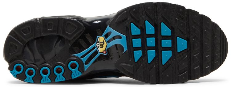 Nike Air Max Plus Black Hex