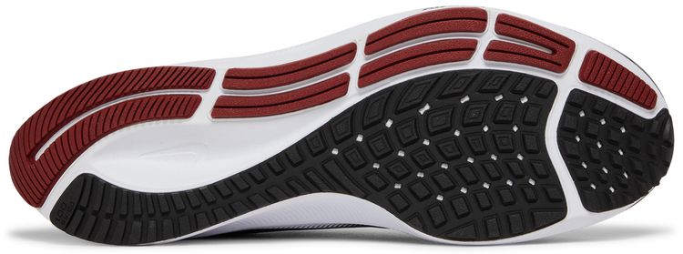 Air Zoom Pegasus 38 USC