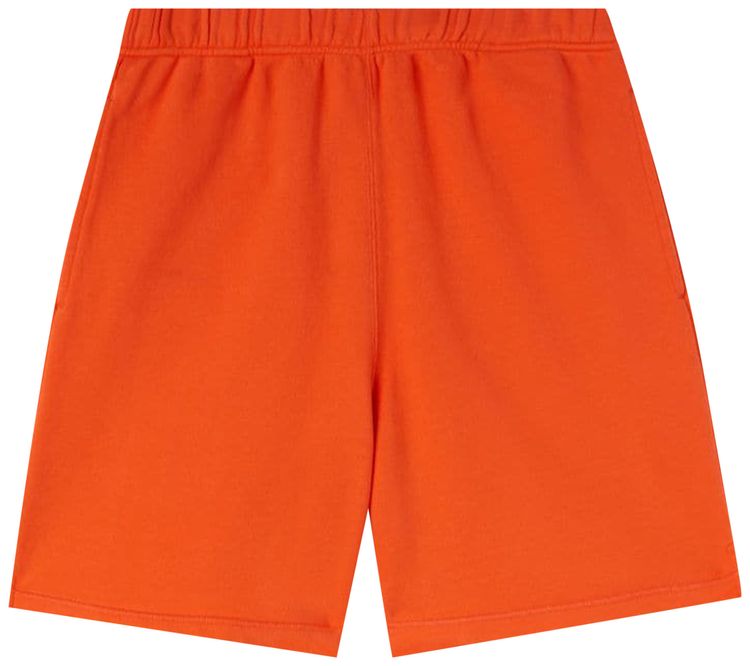 Heron Preston NF Ex Ray Recycled Co Short Orange