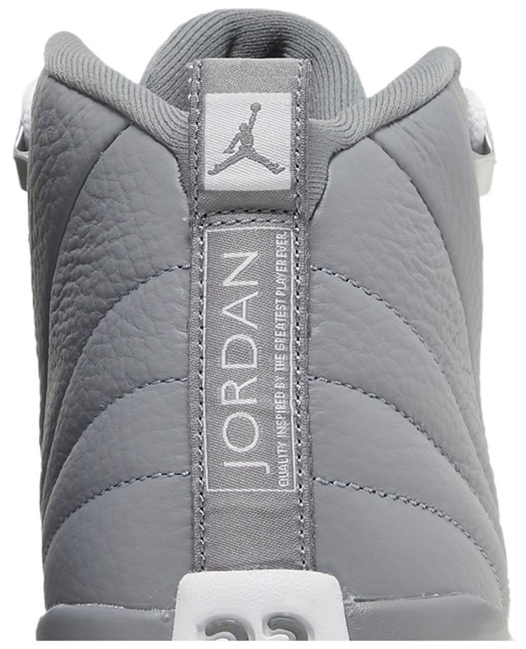 Air Jordan 12 Retro GS Stealth