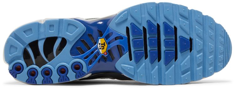 Nike Air Max Plus Black Royal Blue