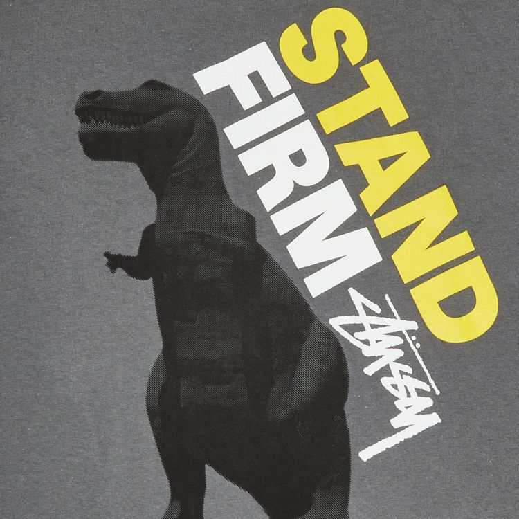 Stussy Stand Firm Dino Tee Charcoal