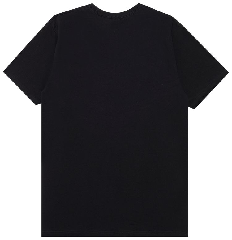 Stussy Paisley Stock Tee Black