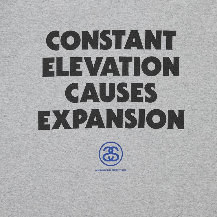 Stussy Constant Elevation Causes Expansion Tee Grey Heather