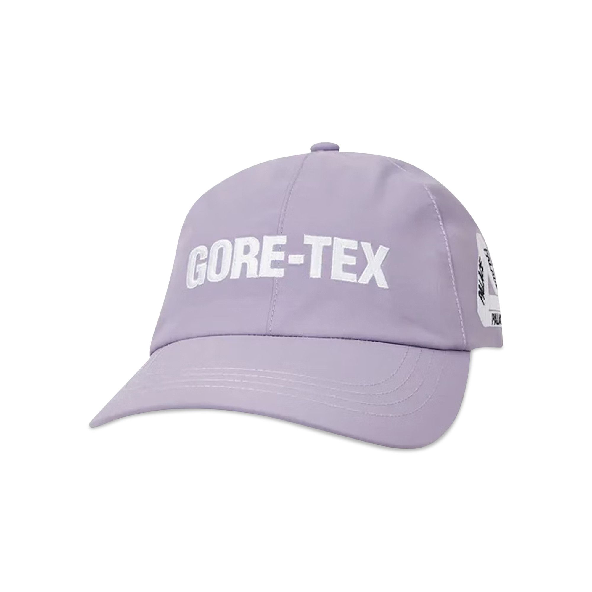 Buy Palace Gore-Tex 6-Panel 'Purple' - P22H204 | GOAT CA