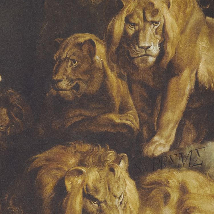 Supreme Lions Den Short Sleeve Top Multicolor