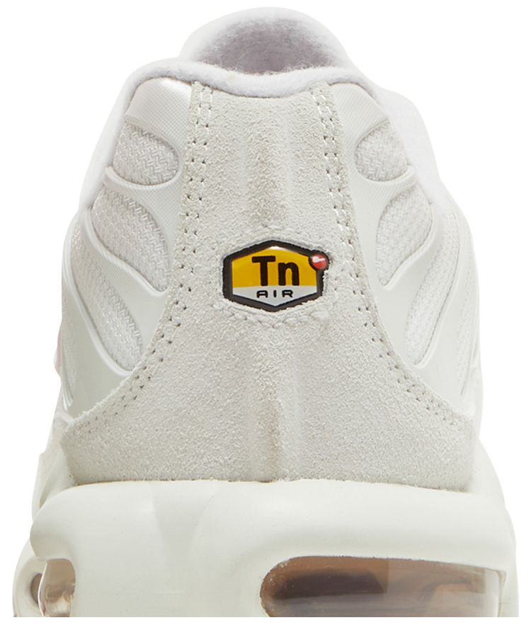 Nike Wmns Air Max Plus Vast Grey Metallic Copper